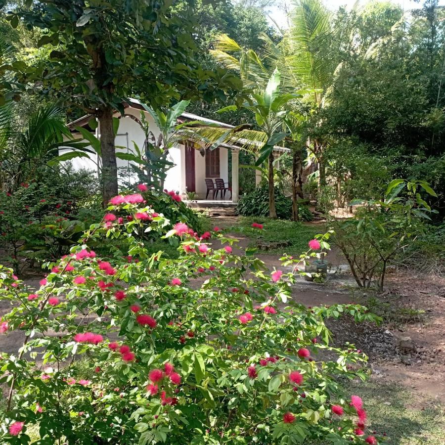 Sanjana Home Stay Habarana Exterior photo